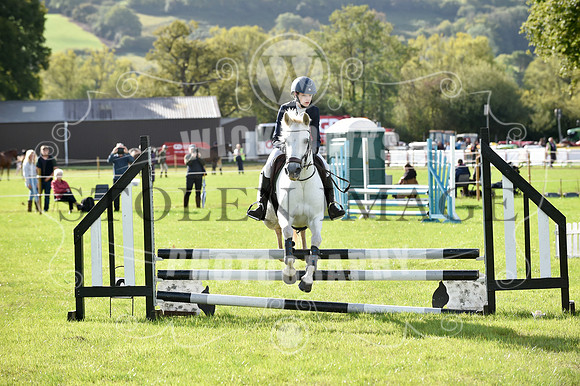K01_6236-368