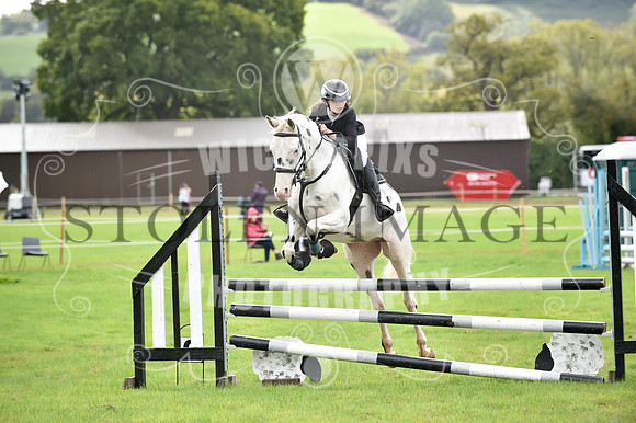 K01_6315-447