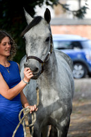 Horses Edited