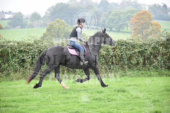 K01_9797-318