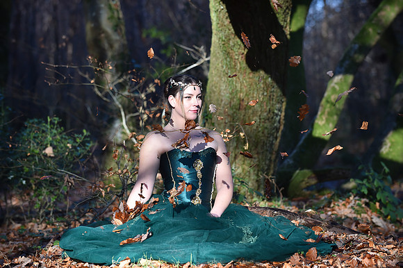 DSC_8523