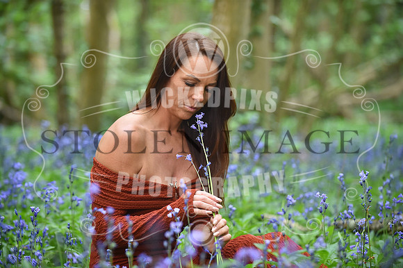 CHB_0554