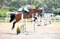 19th July showjumping