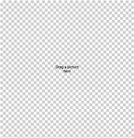 20250202165049_1907481822