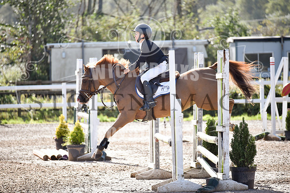 BE0_6631-28
