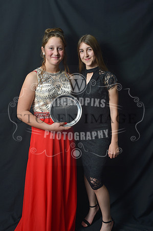Area 35 ball 2018-403