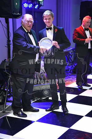 Area 35 ball 2018-173