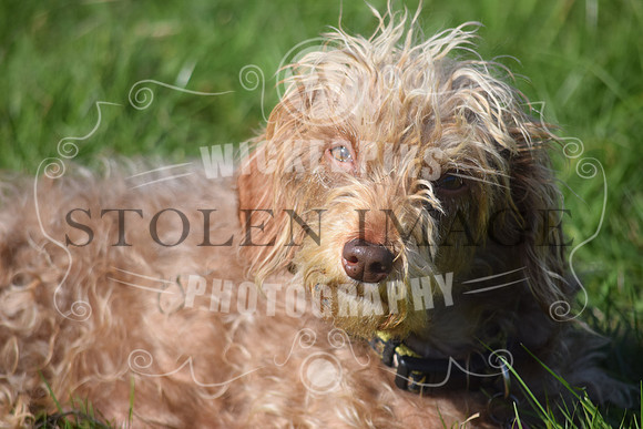 DSC_1013