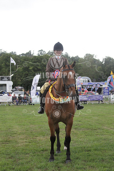 IMG_5233