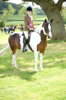 Showing & Working Hunters