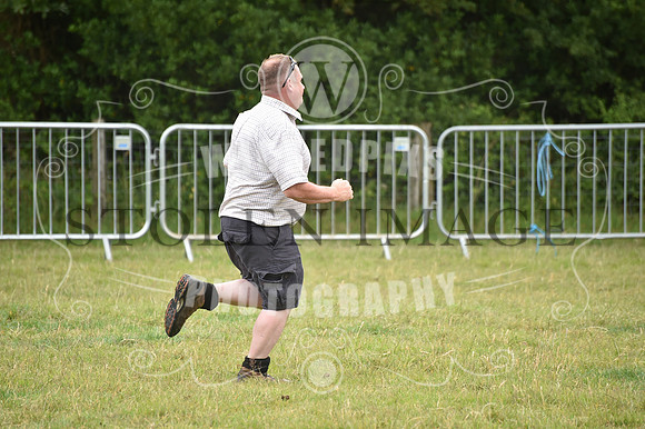 OD1_3716