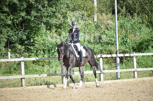 OD1_3381