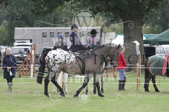 IMG_3042