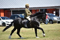 WPCS Bronze medal show-609