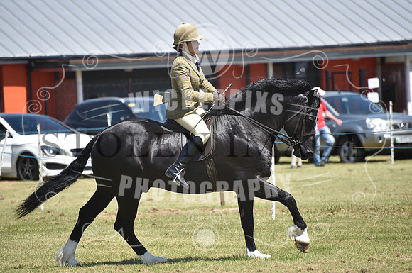 WPCS Bronze medal show-609