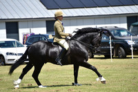 WPCS Bronze medal show-608