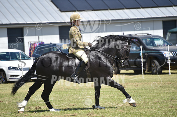 WPCS Bronze medal show-608