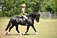 WPCS Bronze medal show-588