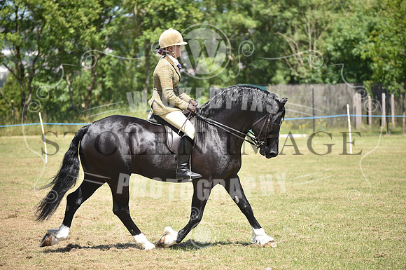 WPCS Bronze medal show-588