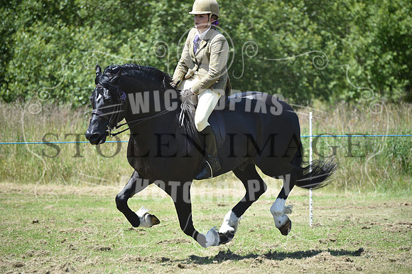 WPCS Bronze medal show-615