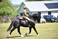 WPCS Bronze medal show-589