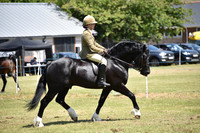WPCS Bronze medal show-590