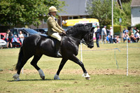WPCS Bronze medal show-594