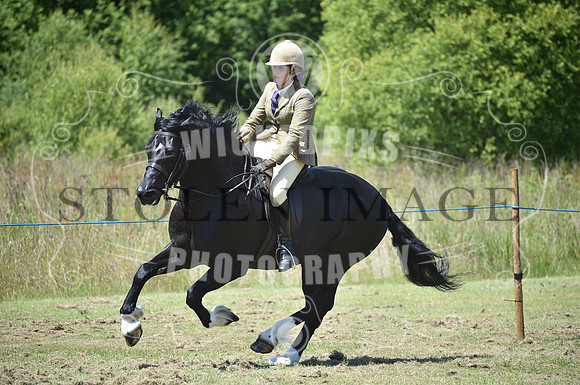 WPCS Bronze medal show-612