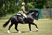 WPCS Bronze medal show-606