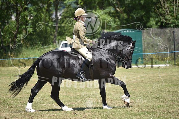 WPCS Bronze medal show-606