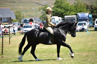 WPCS Bronze medal show-595