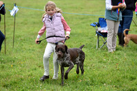 Dogs & Fun