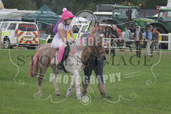 IMG_2890