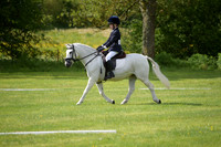 Dressage