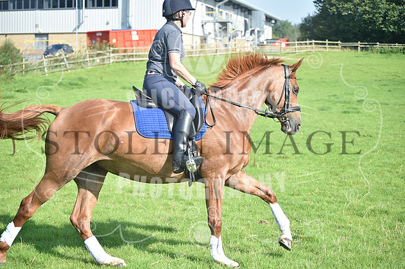 OD1_6372