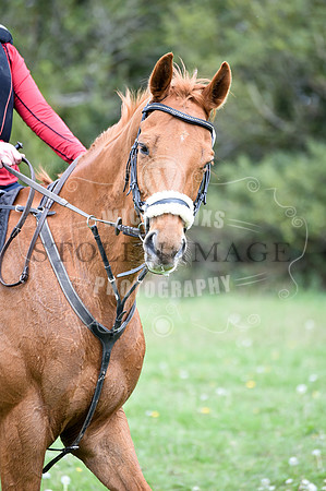 untitled-0878-264
