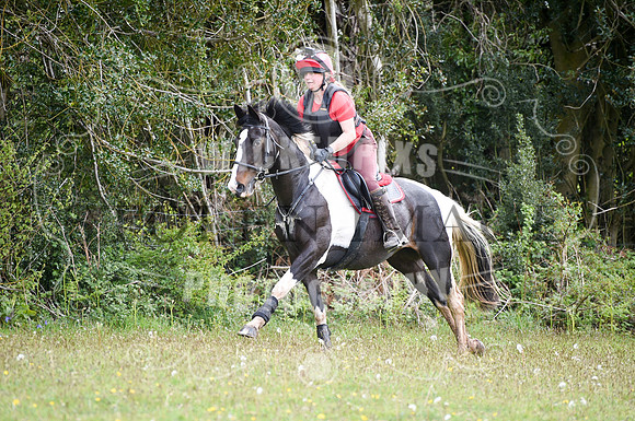 untitled-0686-105
