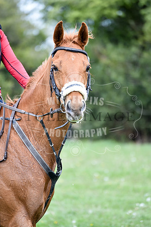 untitled-0877-263