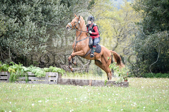 untitled-0890-271