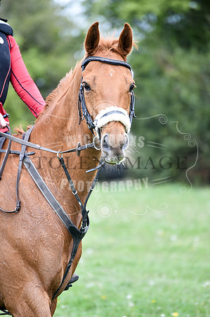 untitled-0876-262