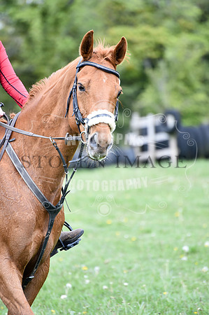 untitled-0875-261