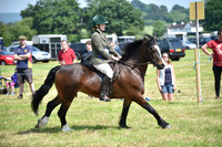 Hunter