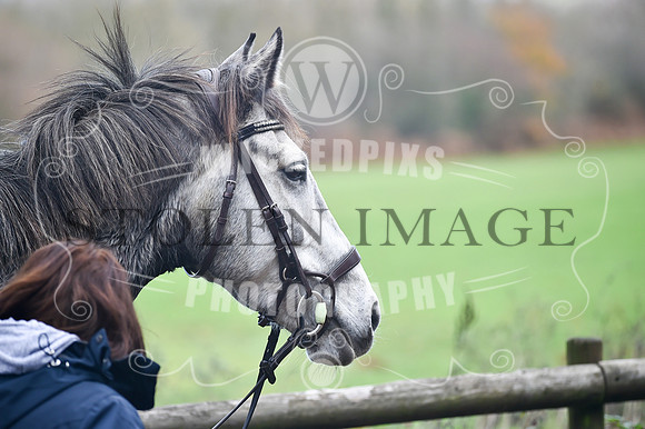 Pencoed November 2018-82