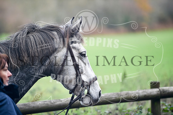 Pencoed November 2018-84