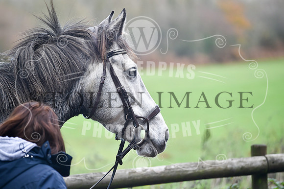 Pencoed November 2018-83
