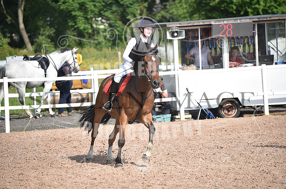 Ponderosa june (86)