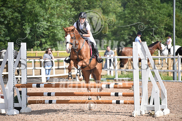 Ponderosa june (92)
