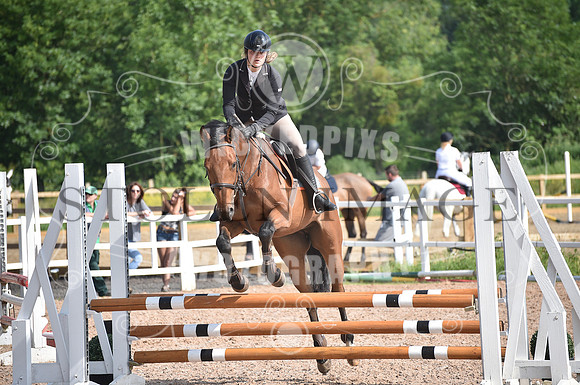 Ponderosa june (72)