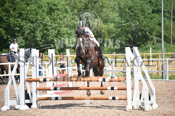 Ponderosa june (177)