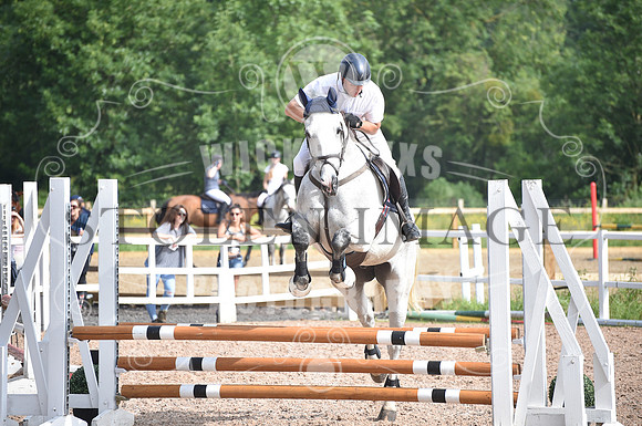 Ponderosa june (12)